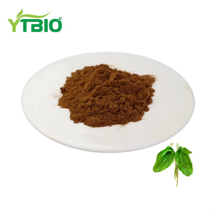 Plantain Extract Powder